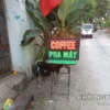Biển vẫy cafe: mẫu thật, cách chọn và báo giá